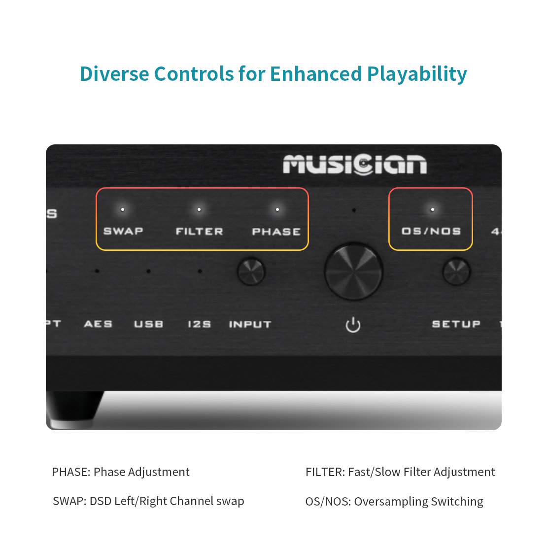 Musician Audio - DELPHINUS